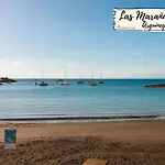 Nectarinas C1 By Villagrancanaria