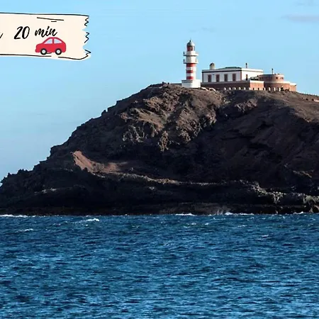Nectarinas C1 By Villagrancanaria