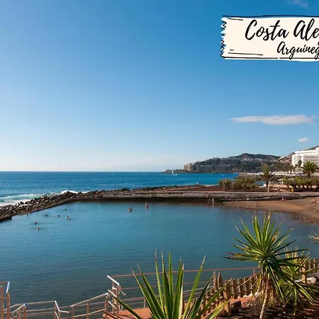 Nectarinas C1 By Villagrancanaria *