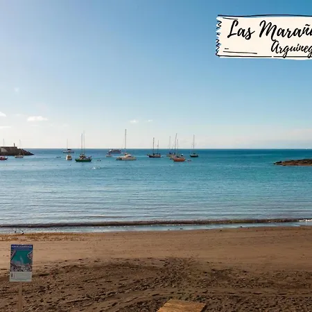 Nectarinas C1 By Villagrancanaria