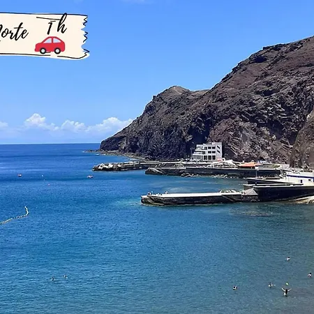 Nectarinas C1 By Villagrancanaria *