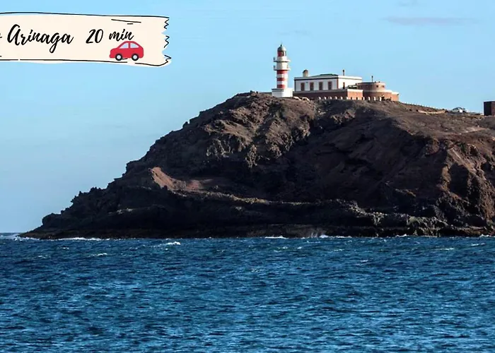 Nectarinas C1 By Villagrancanaria