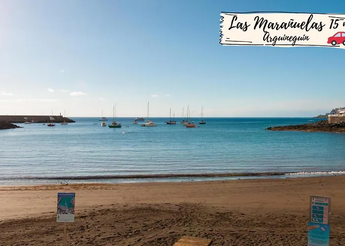 Nectarinas C1 By Villagrancanaria