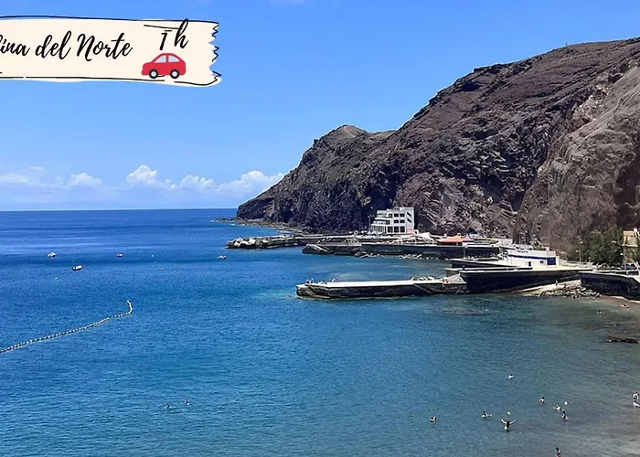 Nectarinas C1 By Villagrancanaria *