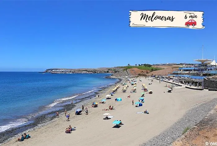 Nectarinas C1 By Villagrancanaria *